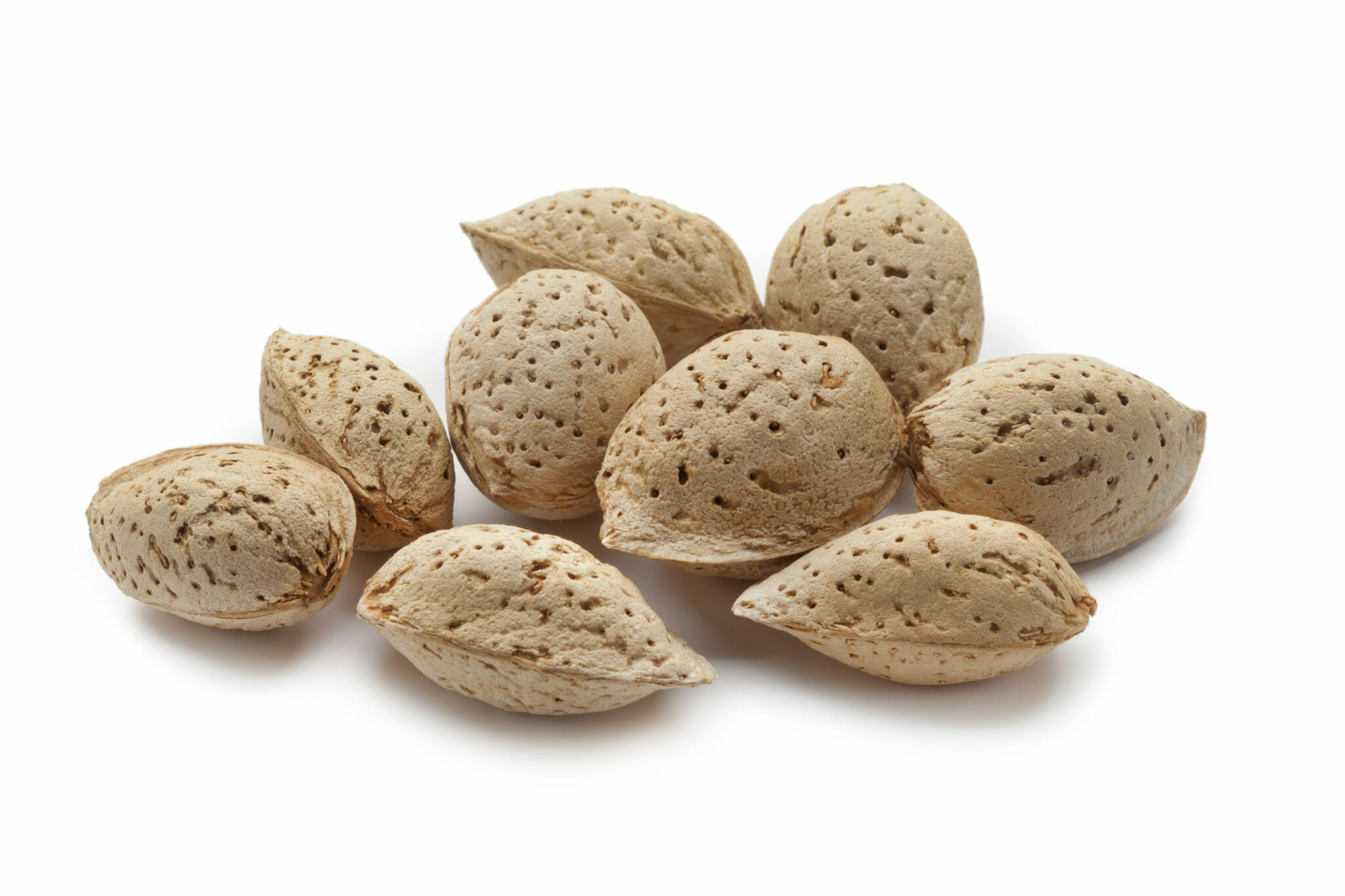 Almonds in shells.